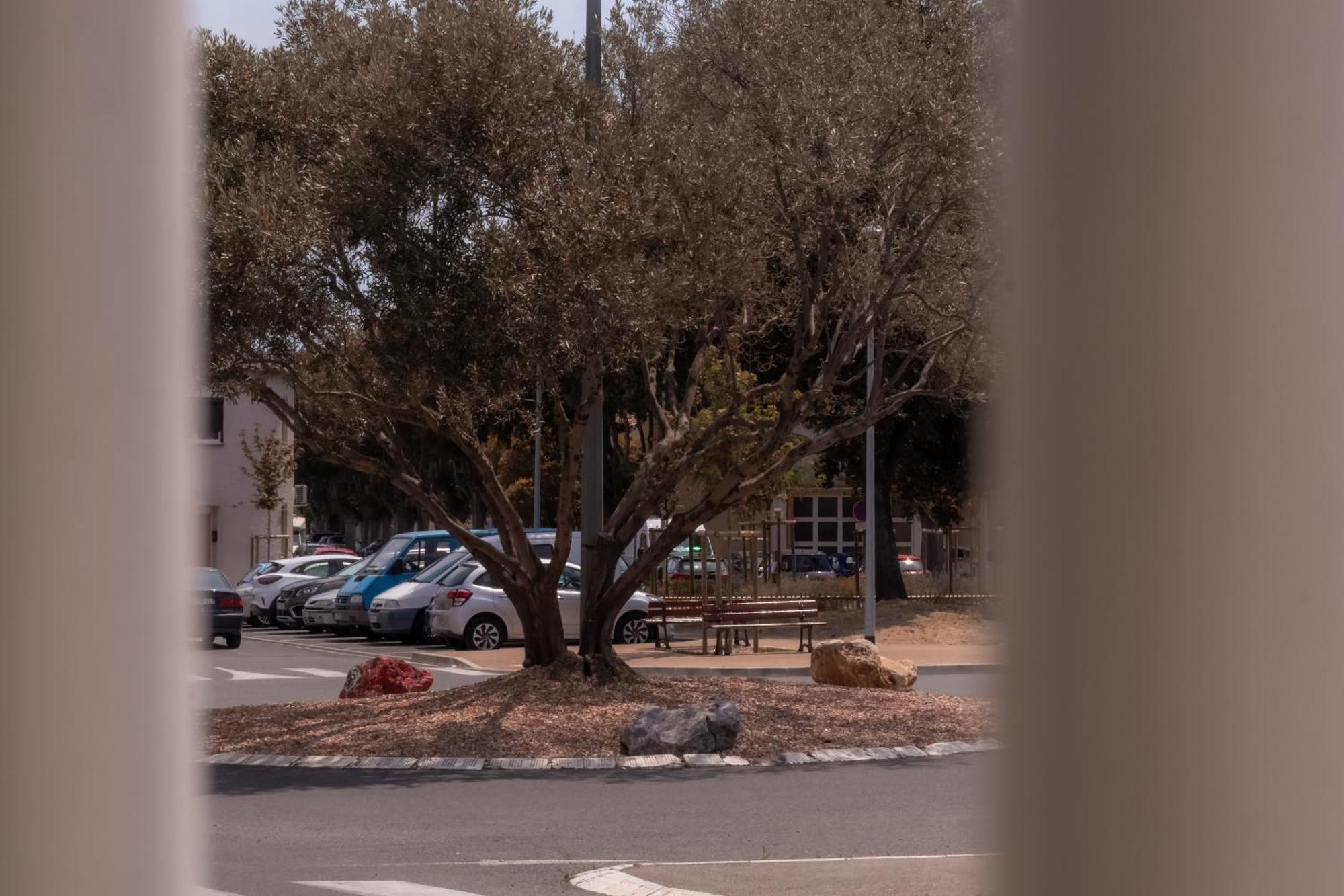 Le Boho Chic Studio Cosy Narbonne Kültér fotó